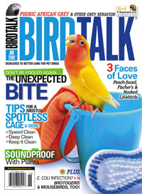 Bird Talk Magazine – June 2009